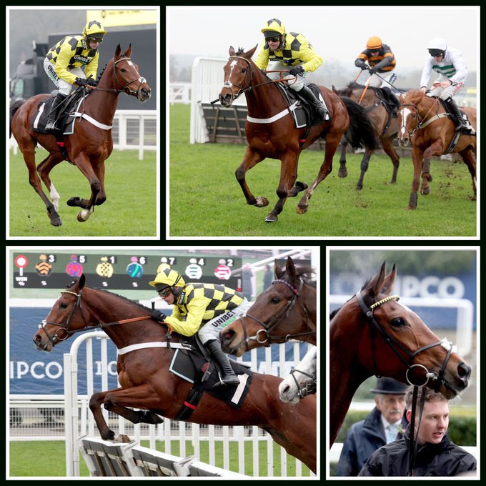 It was so good to hear from Pascal Noue <a href="/haraslahetraie/">Haras de la Hetraie</a> as Weatherbys guest on the <a href="/nickluck/">Nick Luck</a> podcast last week.
Hêtraie is one of the leading NH farms in France 🇫🇷 where some outstanding stallions such as Kapgarde and Great Pretender have stood - with the current roster looking