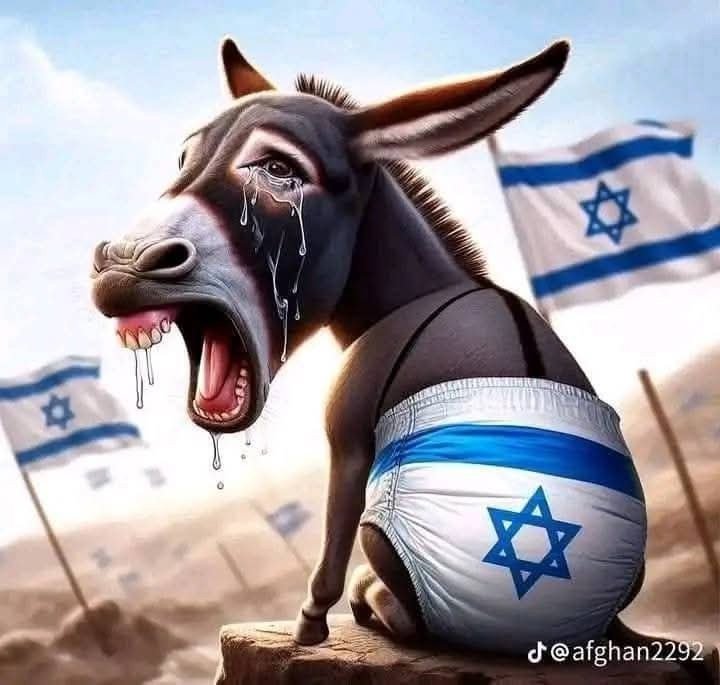 jonstam1905's tweet photo. @AJA_Palestine https://t.co/qFAnBq9qCN