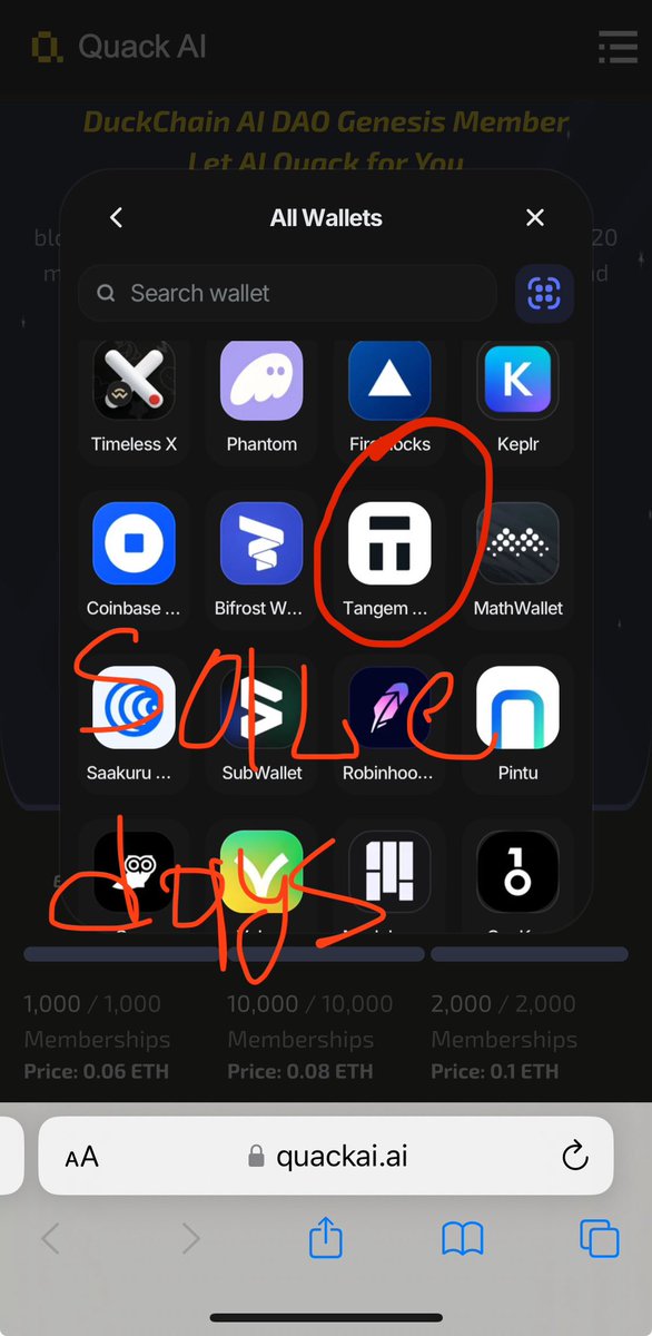 SaintonFack tweet media