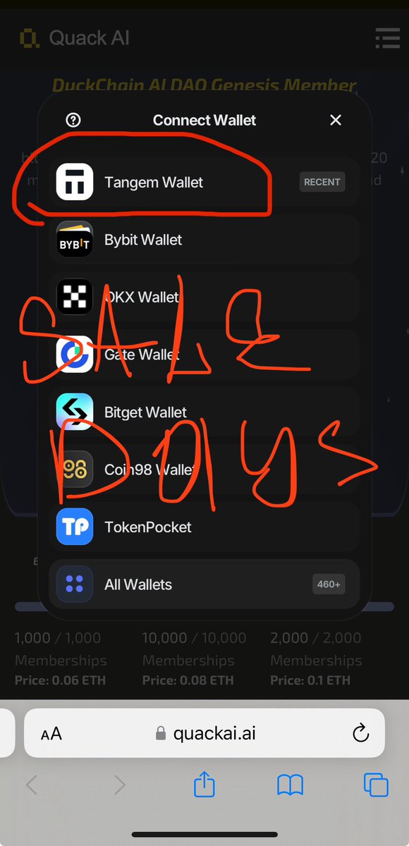 SaintonFack tweet media