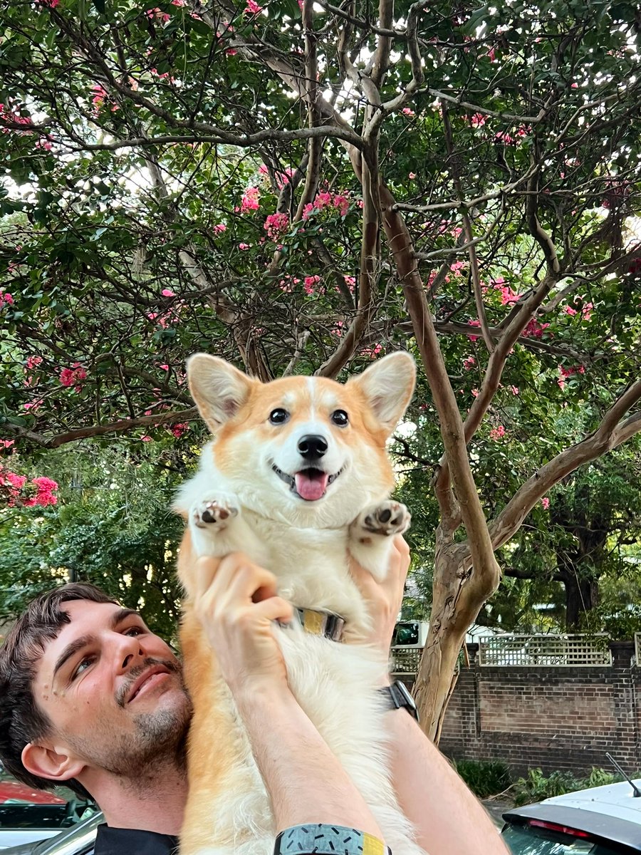DeenMarc_'s tweet photo. Yes it’s me and my small corgi again surprise 🌺 https://t.co/WAXRFXDbzt