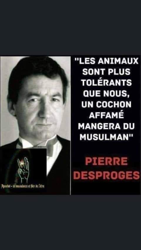luciedf94's tweet photo. @LBleuBlancRouge Également des végétariens ou des collabos https://t.co/2JNnUqtMCJ