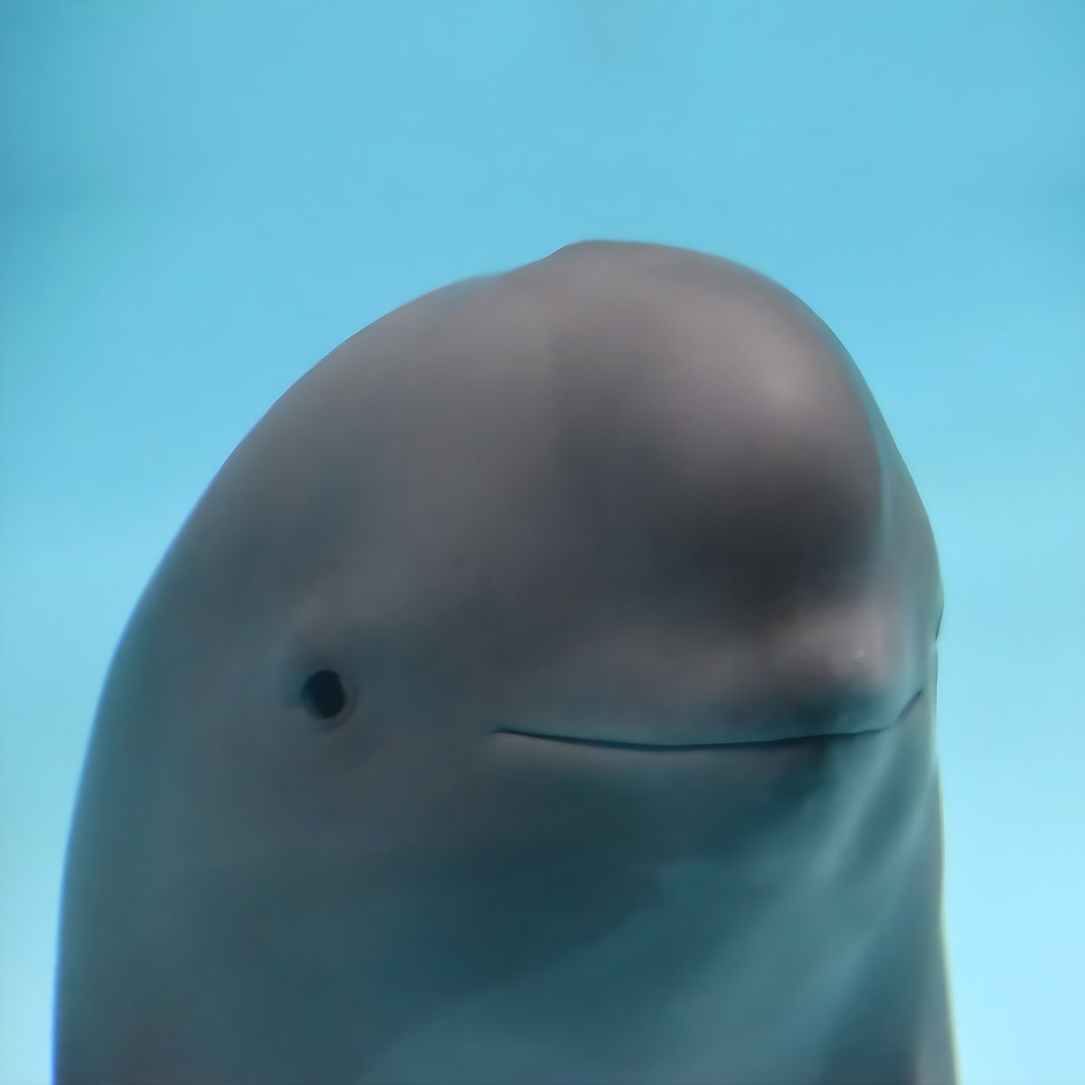 SmilingMiharu.sol tweet media