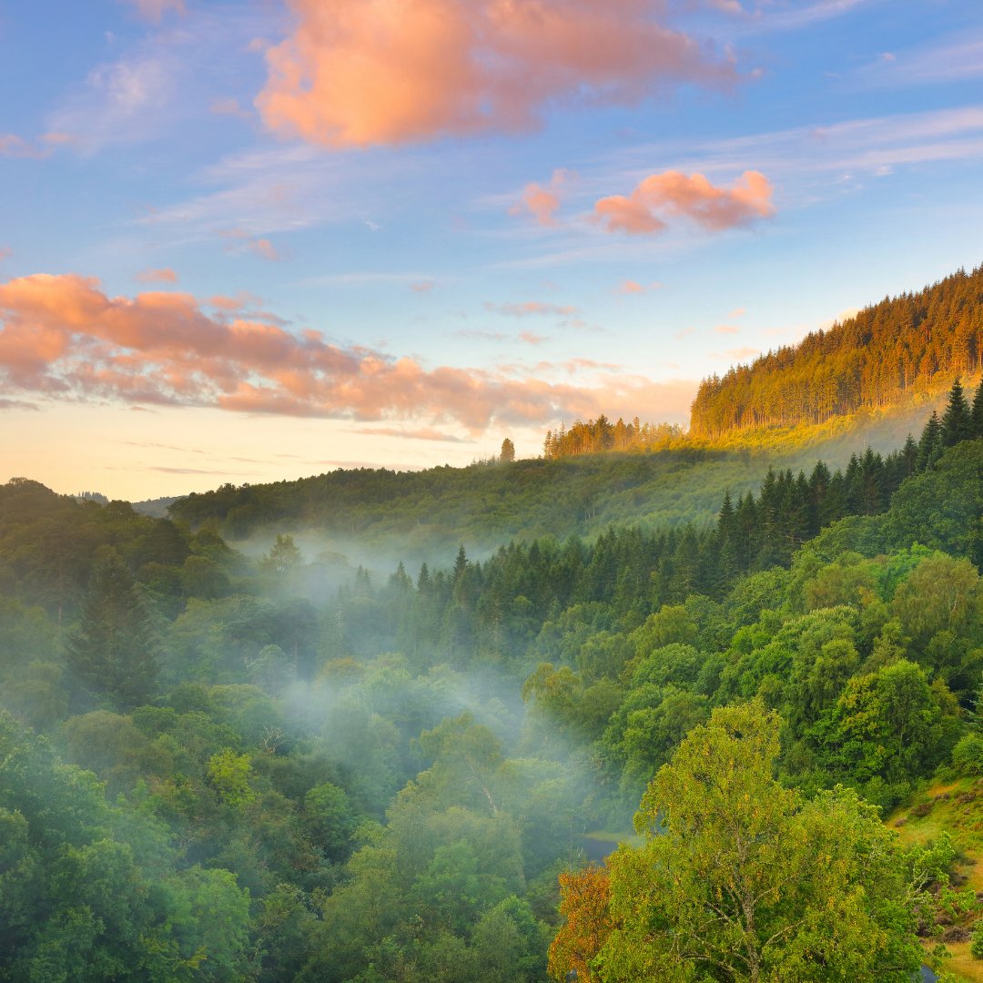 GoExploreScot's tweet image. With winter still in the air, now’s the perfect time to start planning your summer getaway! 🌞 Imagine stunning views like this on your Scottish motorhome adventure come warmer months! 📍Glen Finglas, Trossachs National Park