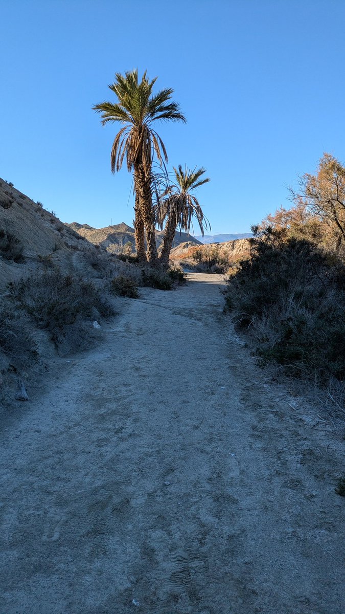 Sendero del desierto de Tabernas.