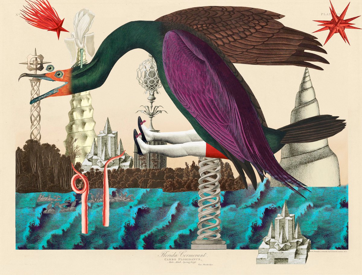 GM! 
One of my favorite <a href="/BirdsOfSolis/">Birds of Sōlis — Migrating to ETH ☀️</a> by <a href="/VarvaraAlay/">Varvara Alay</a> 😍