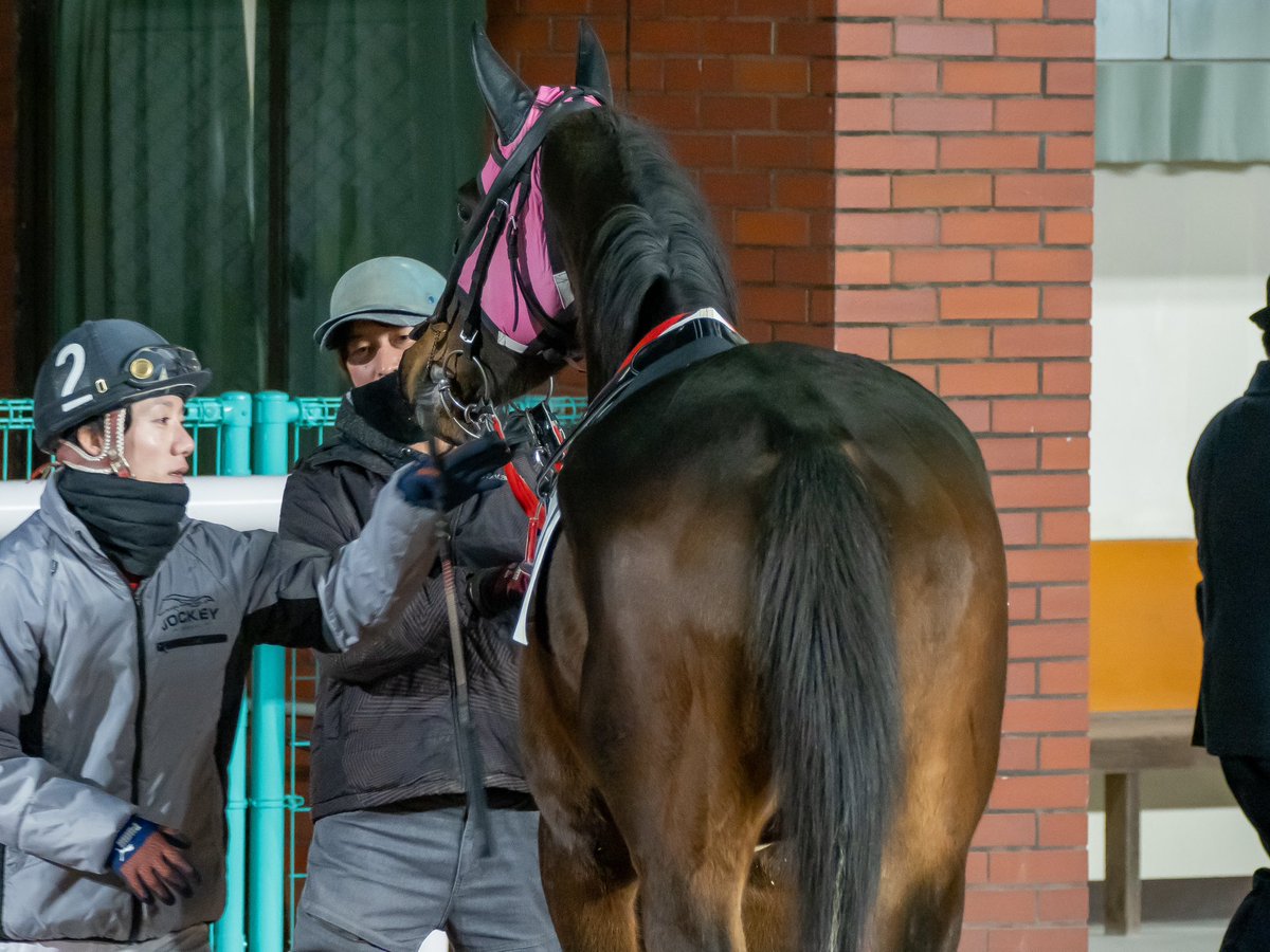 ビディー ️川島拓騎手 ビディーさん☺️ 9歳馬になりましたね🍀 醸しだす上品な雰囲気が本当素敵💓 またドラマティックな展開もみたい 2025 ...