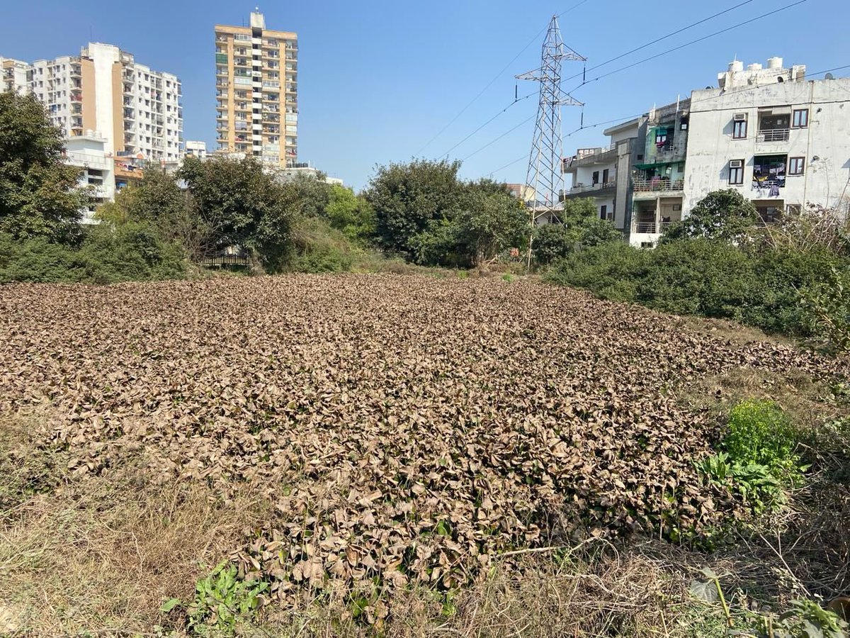 Vikramaditya Singh Malik (@vikramadityasm) on Twitter photo Ghaziabad Nagar Nigam’s commitment to restoration of ponds as Amrit Sarovars. Doing our bit for water conservation and the environment!
Special thanks to <a href="/ramveertanwarg/">Ramveer Tanwar Pondman</a>
<a href="/AMRUTCityGzb/">Ghaziabad Nagar Nigam</a> <a href="/amritabhijat/">Amrit Abhijat</a> <a href="/archanavarmaIAS/">Archana Varma IAS 95 Assam</a> <a href="/aksharmaBharat/">A K Sharma</a> <a href="/SwachhBharatGov/">Swachh Bharat Urban</a> <a href="/SBM_UP/">Swachh Bharat Mission, Uttar Pradesh (Urban)</a> <a href="/MoHUA_India/">Ministry of Housing and Urban Affairs</a> Ghaziabad Nagar Nigam’s commitment to restoration of ponds as Amrit Sarovars. Doing our bit for water conservation and the environment!
Special thanks to <a href="/ramveertanwarg/">Ramveer Tanwar Pondman</a>
<a href="/AMRUTCityGzb/">Ghaziabad Nagar Nigam</a> <a href="/amritabhijat/">Amrit Abhijat</a> <a href="/archanavarmaIAS/">Archana Varma IAS 95 Assam</a> <a href="/aksharmaBharat/">A K Sharma</a> <a href="/SwachhBharatGov/">Swachh Bharat Urban</a> <a href="/SBM_UP/">Swachh Bharat Mission, Uttar Pradesh (Urban)</a> <a href="/MoHUA_India/">Ministry of Housing and Urban Affairs</a>