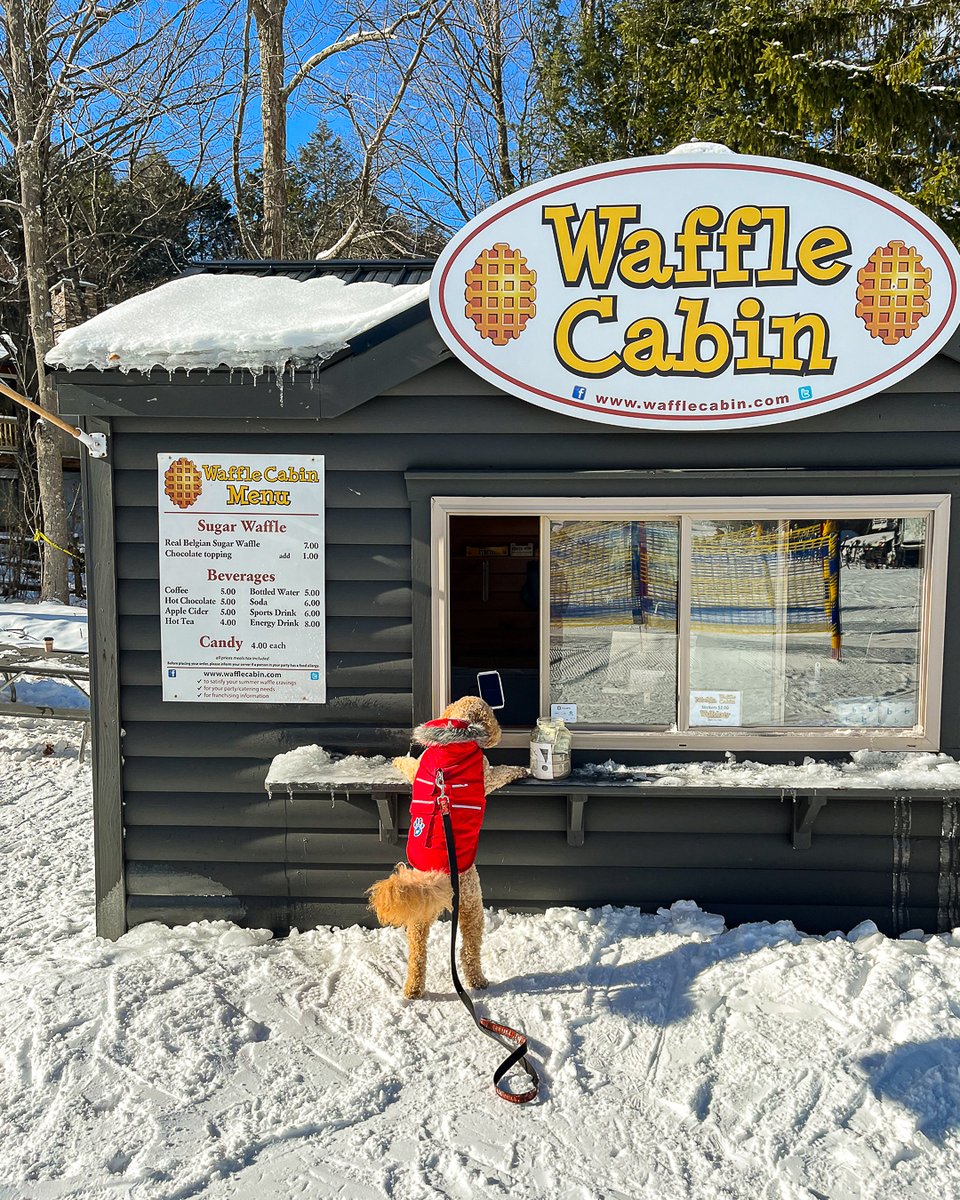 Welcome to the Woof-le cabin.