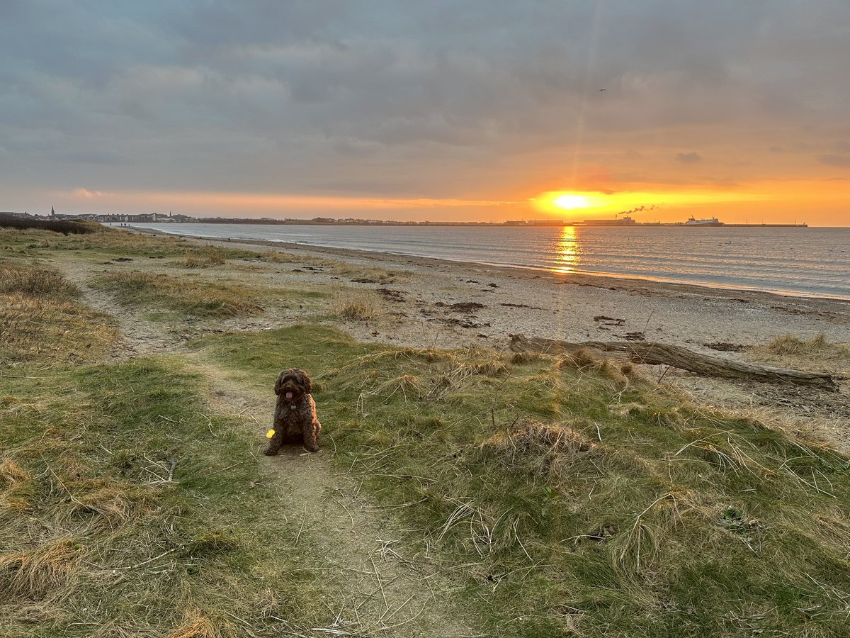 You can’t beat a January walkies and a gorgeous sunset at the beach! #Troon #sunset #walkies 🐾🐾