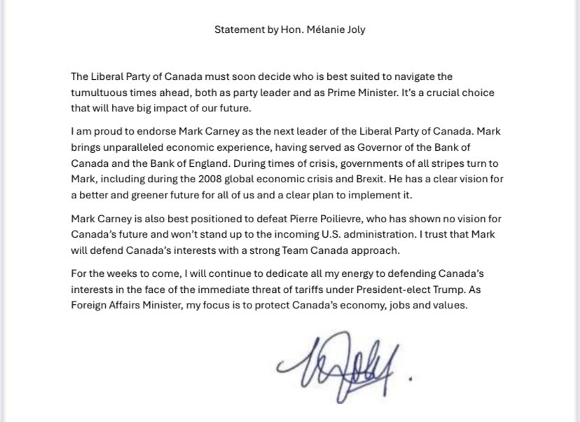 The Liberal Party of Canada must soon decide who is best suited to navigate the tumultuous times ahead: