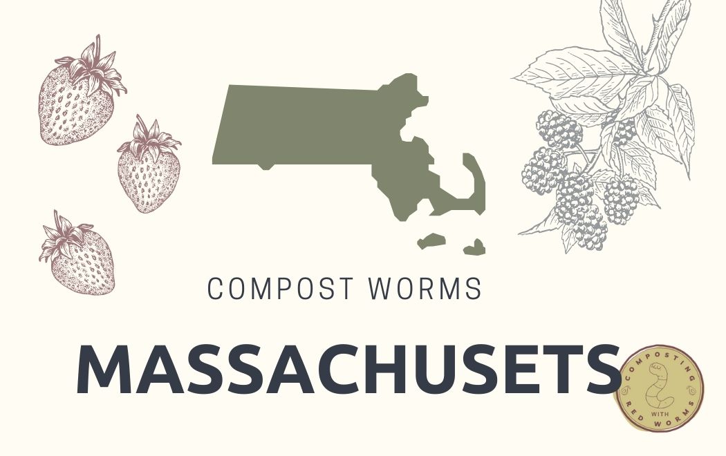 CompostingWorm's tweet image. Hey #Massachusettes! Do you sell compost worms, visit our page and submit your seller information!
compostingwithredworms.com/where-buy-worm…