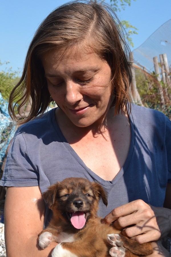 The Dogs of Celestún tweet media