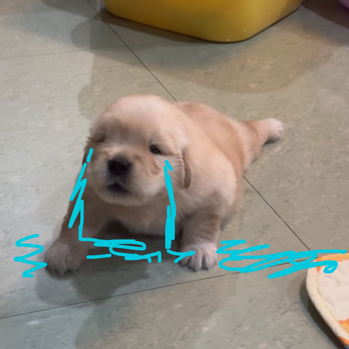 ฮืออ อ อ อฮะ ฮือ อ  ออออ ฮึกกกก ก ก ฮะ ฮือ อ อ อออึง แงงงง  ง แงงงงงง แงงงงง ฮึกก ก ก แงงงงงง แงง งแงงง 😭