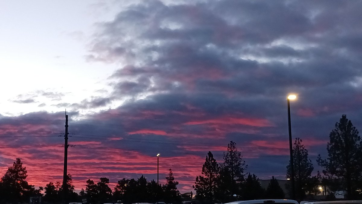 I hope everyone is having a wonderful day.