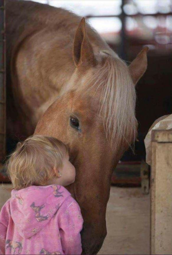 Tweets of Dogs tweet media