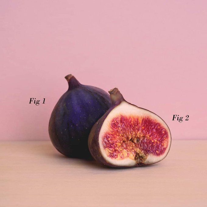 acagamic's tweet image. When writing that journal article, don&apos;t forget to add some Figs. 🤣