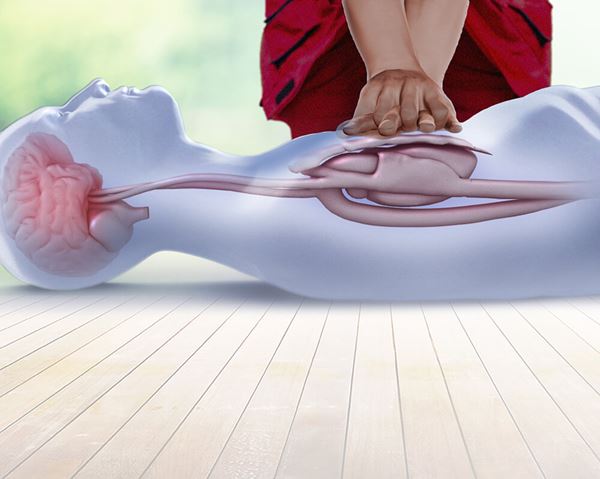Have you ever wondered, "So...what exactly IS CPR?" 🤔 Let's start at the basics to understand why CPR is a lifesaving skill. ❤️ 

Learn more: spr.ly/6019aW1Yv

#CPRwithHeart