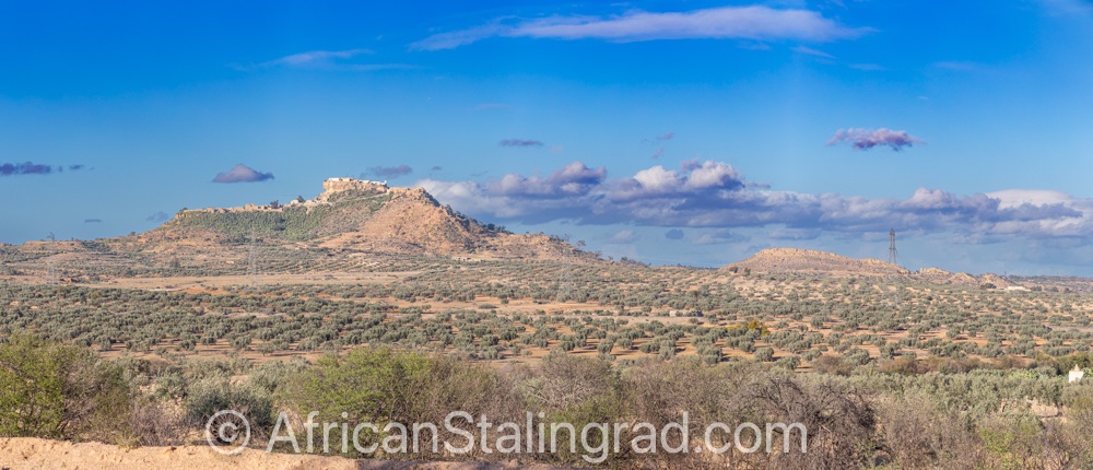 AfricanStalingrad tweet media