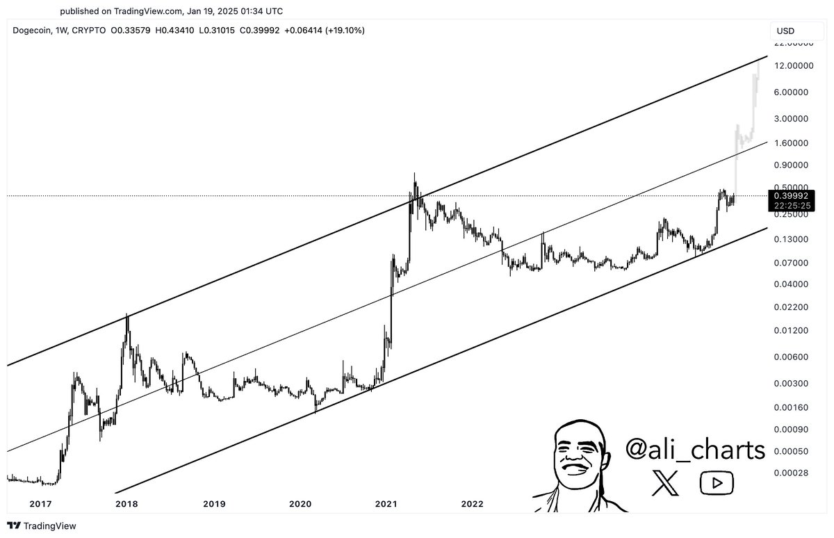 #Dogecoin $DOGE appears to trade inside a multi-year ascending parallel channel that projects a bullish target of $15!