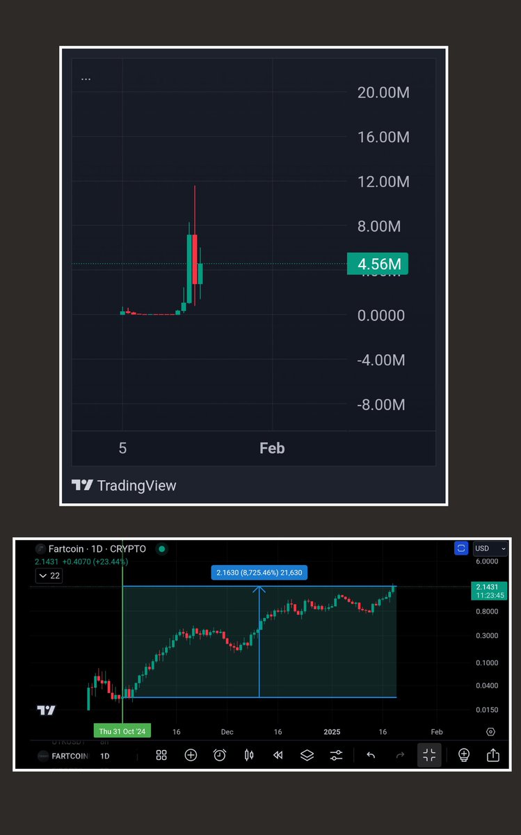 I called for a run in #fartcoin in the discord on 31st October last year. There was an impulsive wave brewing and #memecoins were my target.

#fartcoin is currently up a whopping 8,725%. 
Is #fartboy about rinse repeat here? The breakout and pullback look on point so far. 👀

You