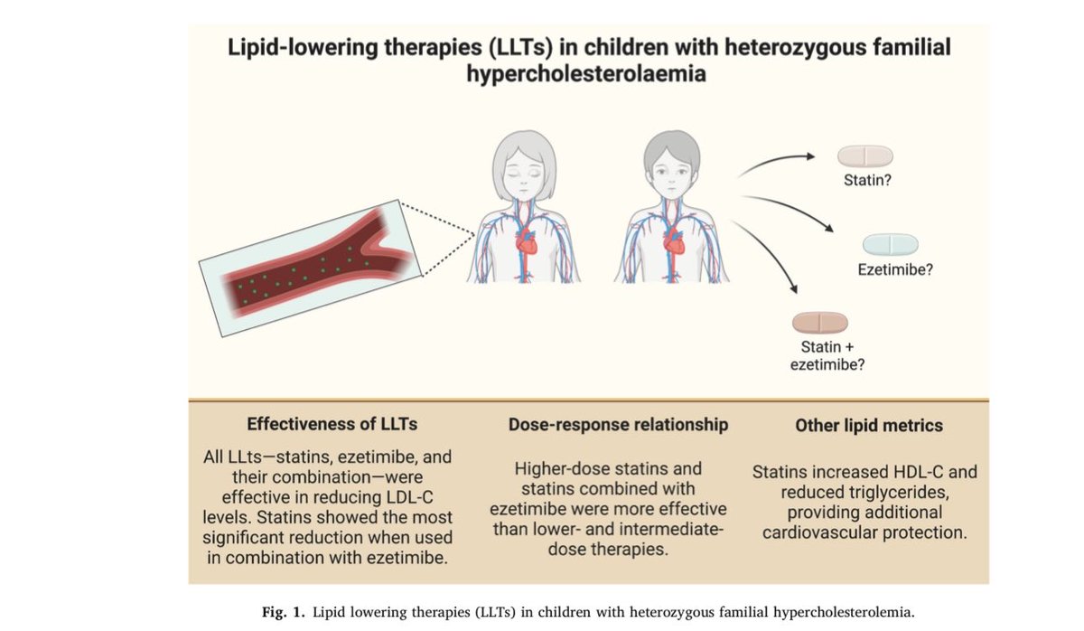 #Atherosclerosis : #LLT in Young #HeFH patients. Highlights to the recent #MA ☀️☀️#EAS