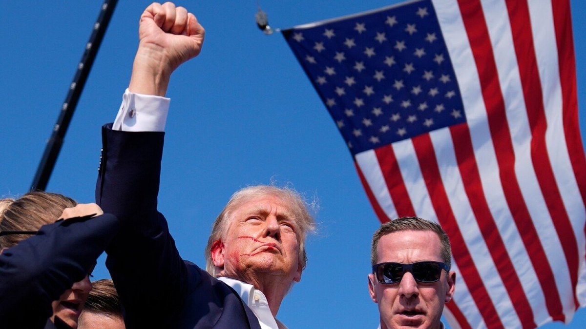 FIGHT Coin tweet media