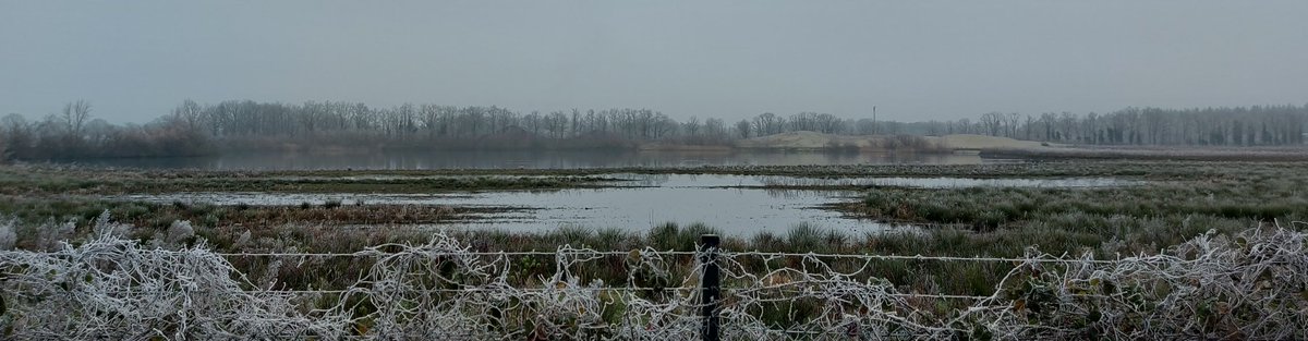 Boswachter Poulussen tweet media