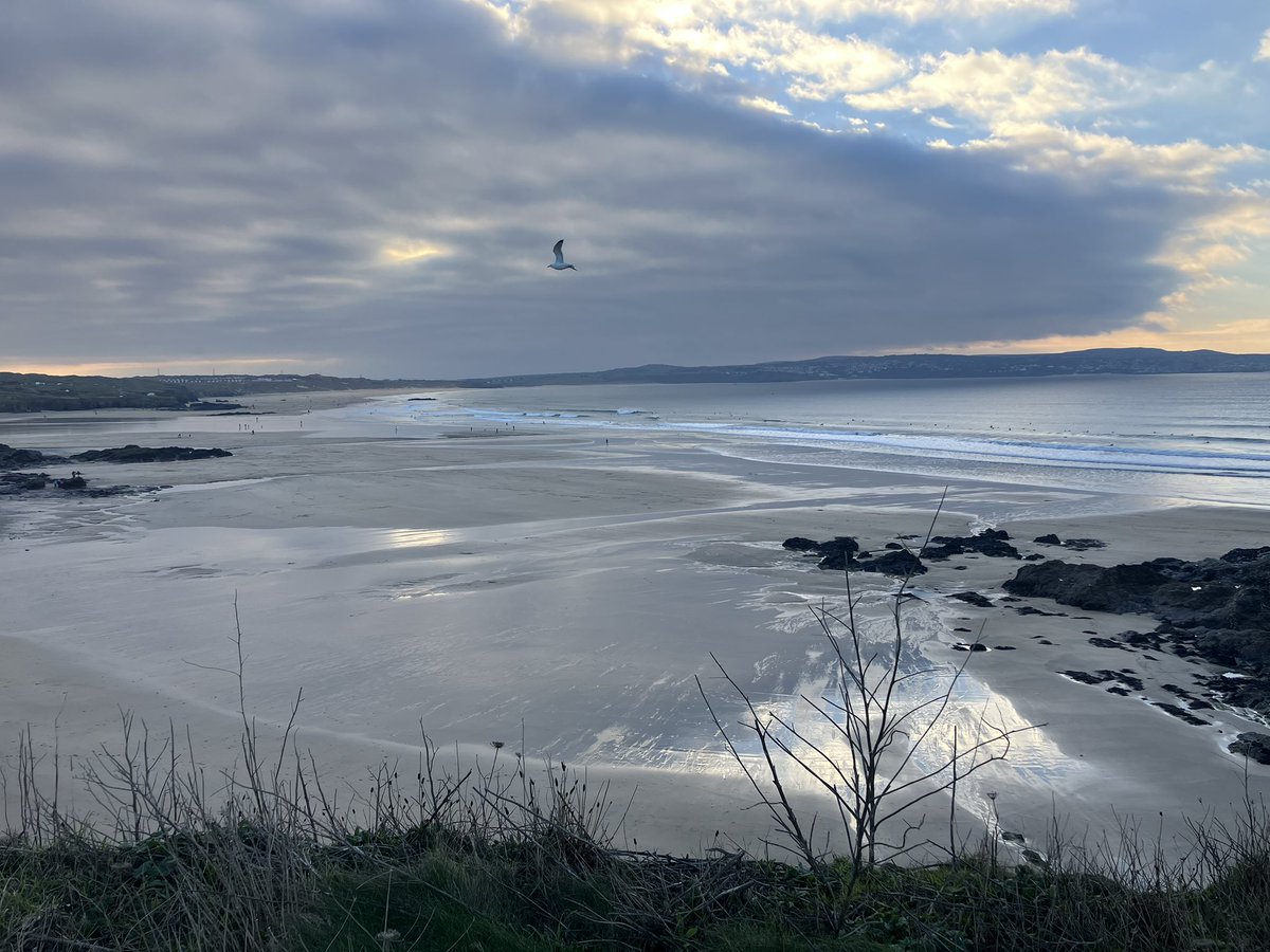 EvocativeCorn's tweet image. A @primabakeries pasty, bit of seal watching, and a walk to Godrevy under a blue sky was a pretty perfect Saturday afternoon.