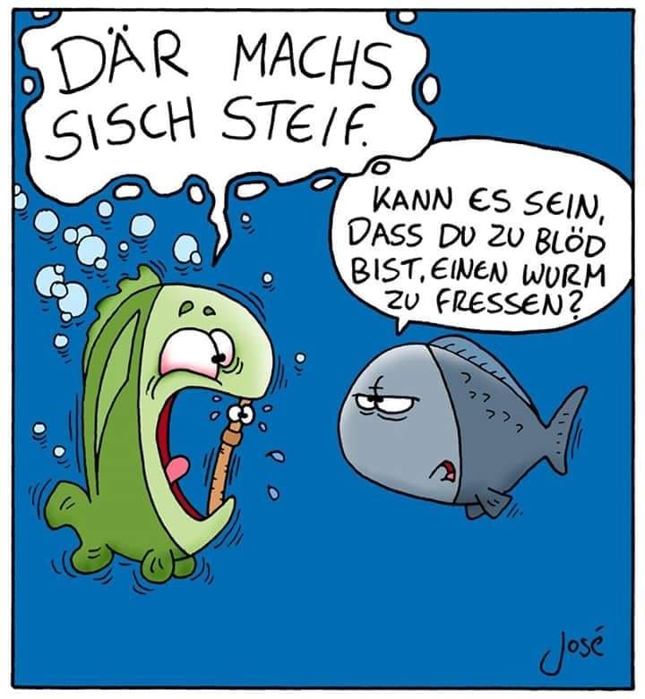Ich hatte heute Fisch.
Und wieder habe ich mir leicht die Flosse am Backofen verbrannt, nur ne klitzekleine Stelle, aber ist halt so. Hab schon was drauf getan.