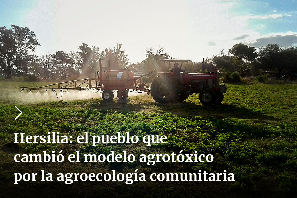 En Hersilia, un pueblo de 3000 habitantes del noroeste de Santa Fe, los vecinos exigieron que se deje de fumigar, lograron una norma que establece 800 metros libres de venenos y hoy avanzan en la promoción de la agroecología.🥦🍅🧵👇
✍️<a href="/luciguadagno/">Lucía Guadagno</a>
➡️bit.ly/3WLRisD
