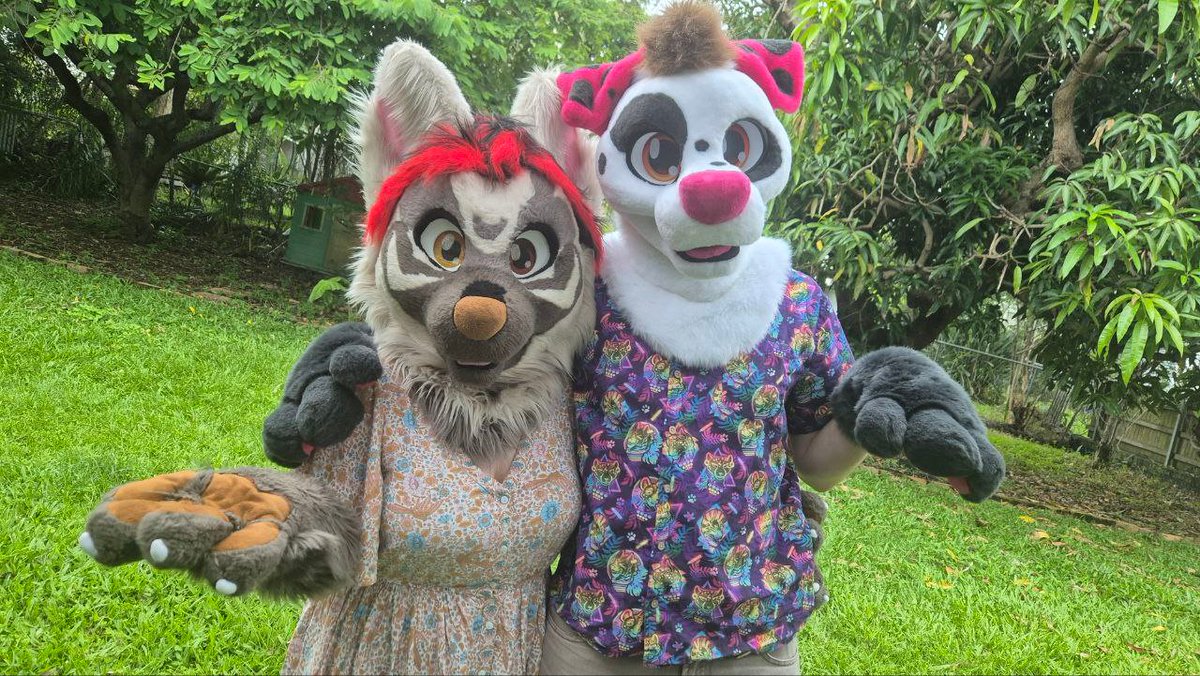 halen2244's tweet photo. And here he is! 🐶✨
Awesome first day out with the boi, thank you @Boxer_Fox for having us ^^
🐺 @TillyWolf 
📷 @aussie_rusty 
#furry #fursuit #fursuiteverday https://t.co/36k28RygiB