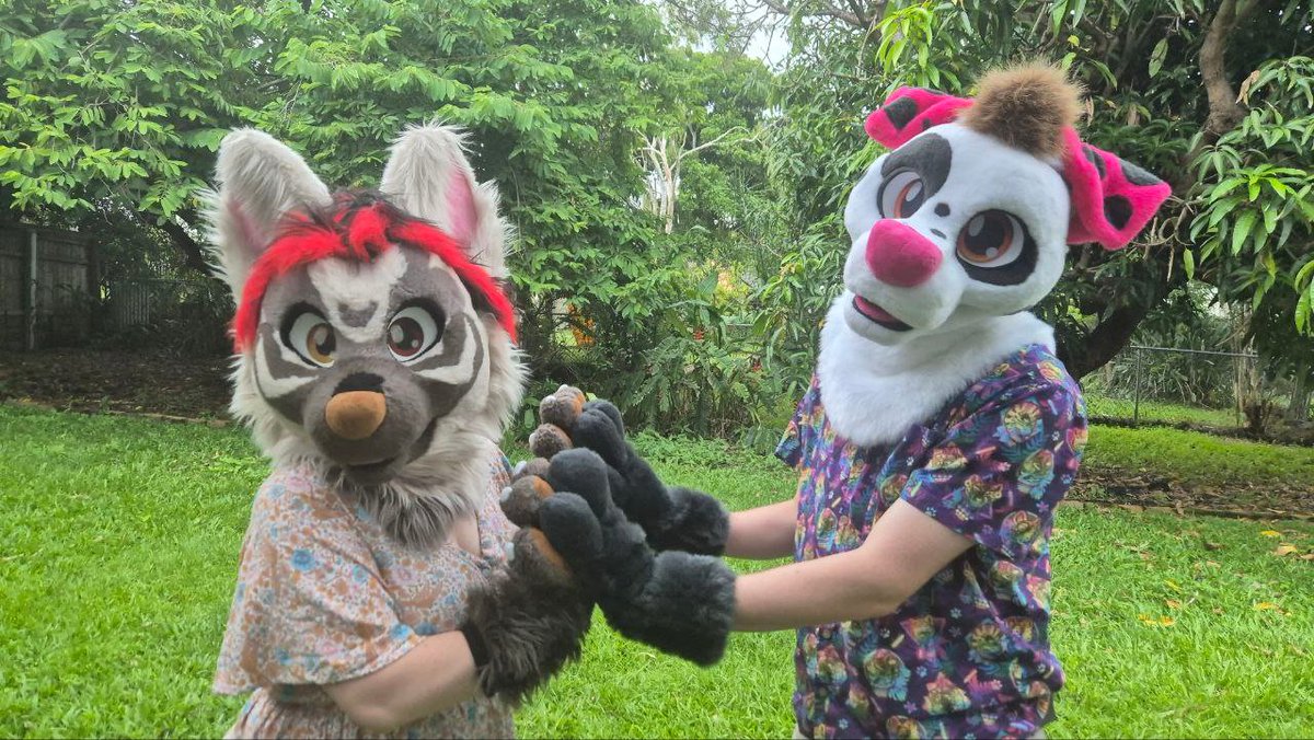 halen2244's tweet photo. And here he is! 🐶✨
Awesome first day out with the boi, thank you @Boxer_Fox for having us ^^
🐺 @TillyWolf 
📷 @aussie_rusty 
#furry #fursuit #fursuiteverday https://t.co/36k28RygiB