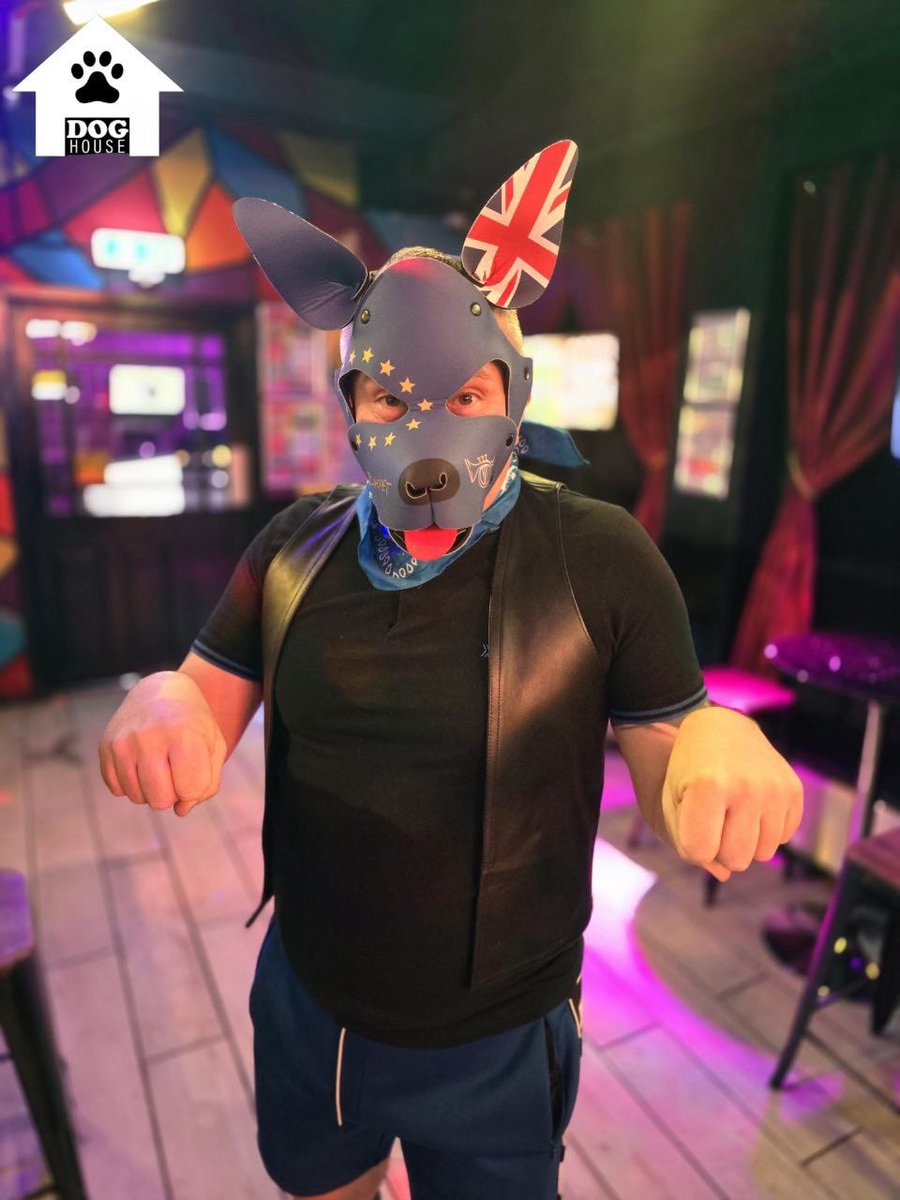 PupTrumpet's tweet photo. A fun time had @DogHouseStoke on there 8th birthday https://t.co/AItDGKGXaD