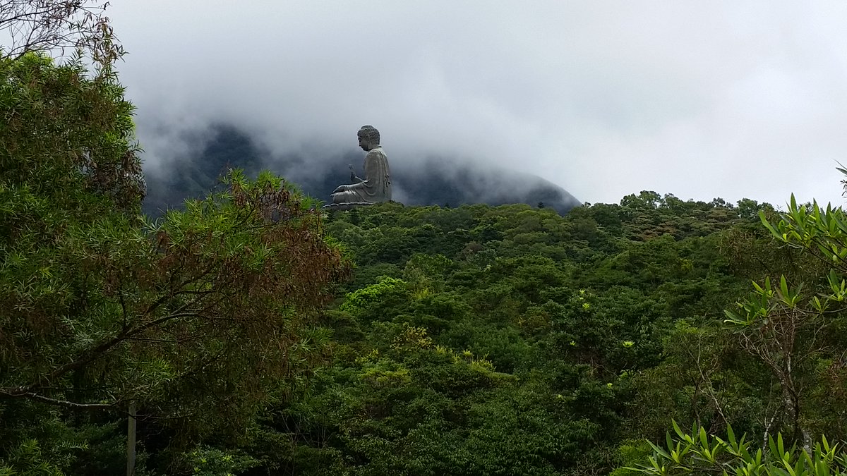 mobymaybe's tweet photo. be in the moment of surrender ✨

where you don't have to reach for the sky
but it comes to visit you💙💛

wishing you peace and joy for your day. 🫂

#PoLinMonastery #lantau https://t.co/JQS0NWzGCI