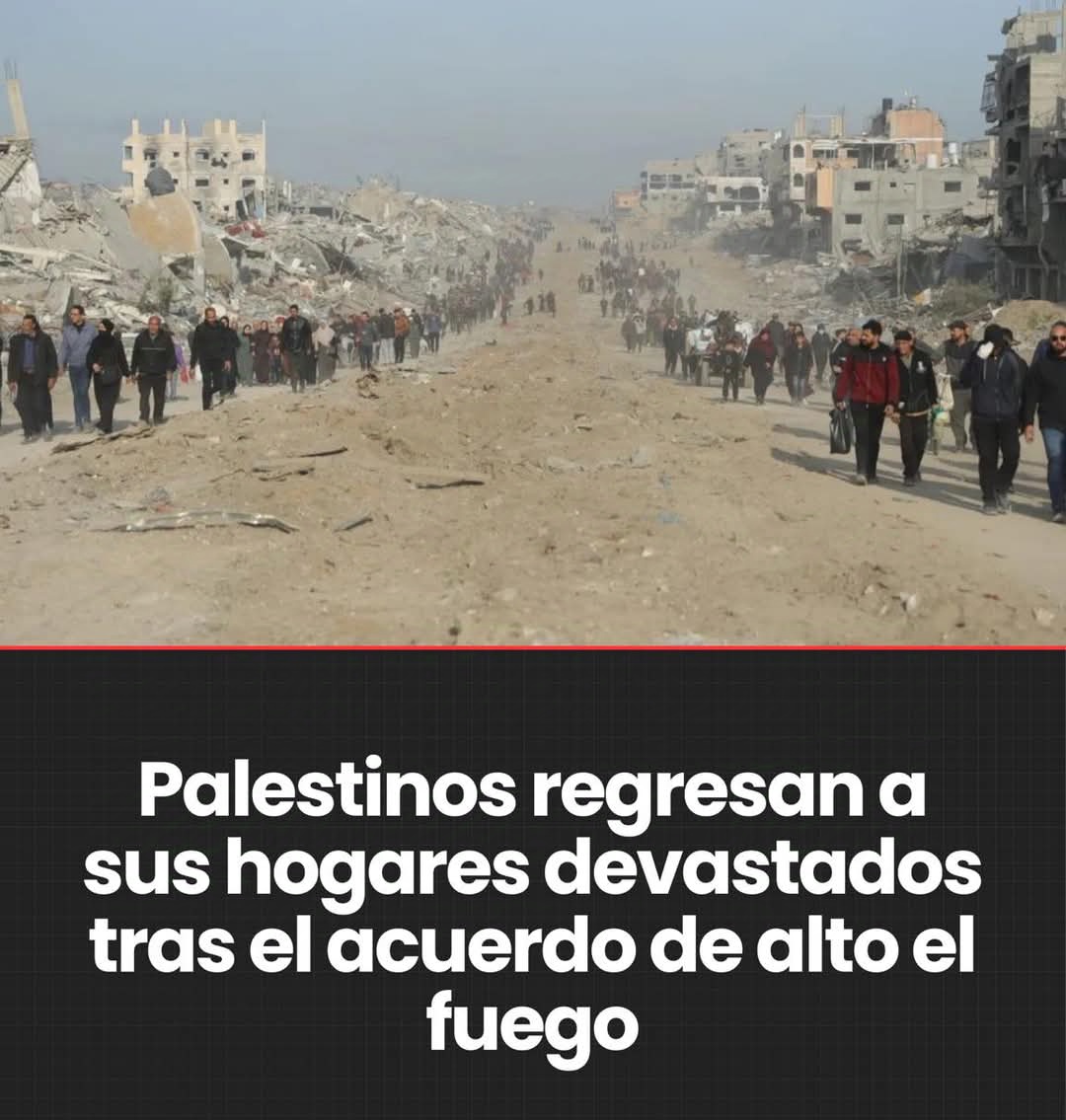 A pesar del cese el fuego, continúa la desesperación. Han sido 470 días de genocidio. #FreePalestine