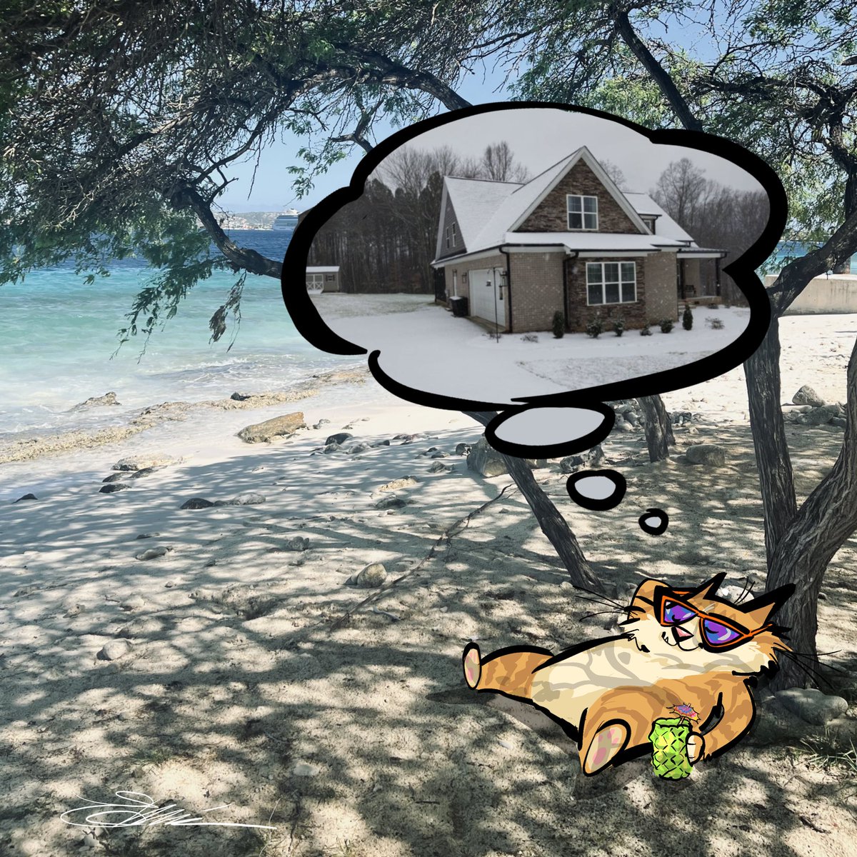 erminski's tweet photo. Today’s prompt is WHERE I LIVE
#erinsart #love #fun #sketch #erinscat #doodleaday #erinsdoodles @fatmumslim #FMSPAD #halfhourwarmup #doodleadayjan #freshcat @bonaireisland #sorrynotsorryalwayscats @Procreate https://t.co/b3ZQu2JKbn