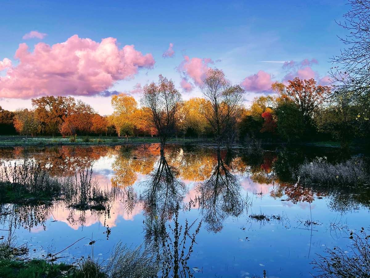 Kent Geller tweet media