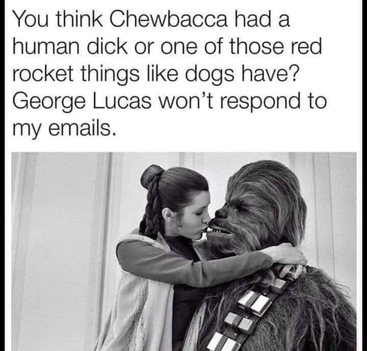 🤣🤣🤣