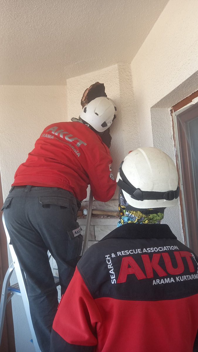 #AKUToperasyon #AKUTAnkara ekibimiz, bir binanın bacasında sıkışan kedi için çıktığı operasyonu, kediyi mahsur kaldığı yerden çıkartıp sahibine teslim ederek sonlandırmıştır.