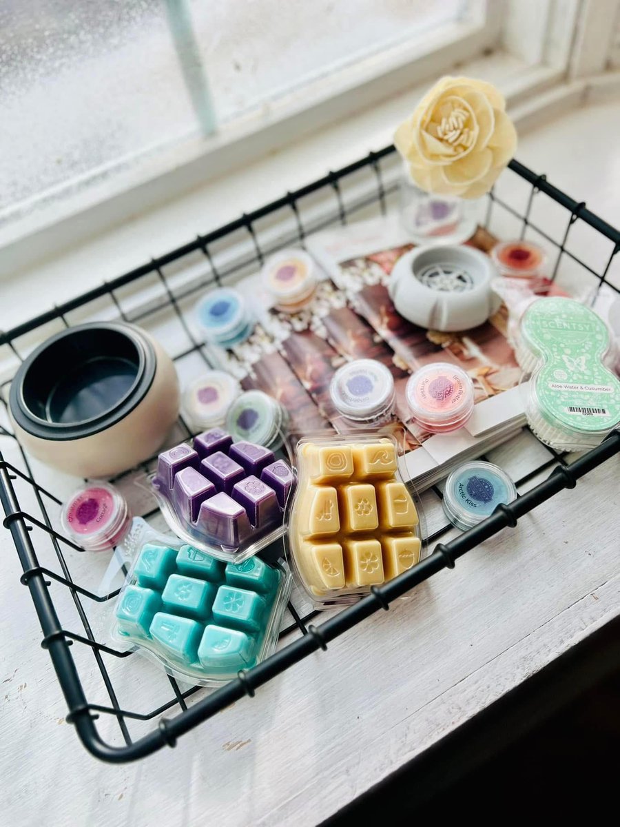 Start your own scentsy journey for $20 in January 🖤