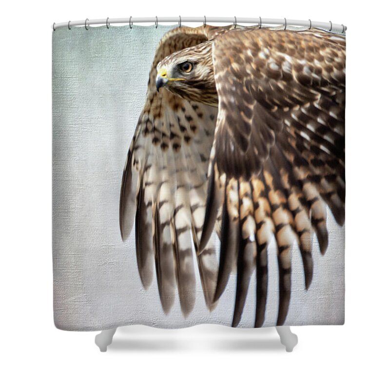DebraMartz's tweet photo. "Hawk In A Close Fly By"
Shower Curtain by Debra Martz https://t.co/H9OhemRNgx
#hawk #birdofprey #bird #wings #feathererfriend #aves #avain #birdlovers #birdwatchers #ornithology #BuyIntoArt https://t.co/Ey6a9IGdUT