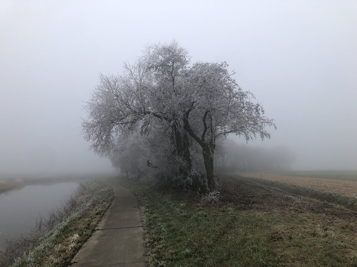 FredRaangs's tweet image. #wandelrondje #Kloosterburen #kleinewerled