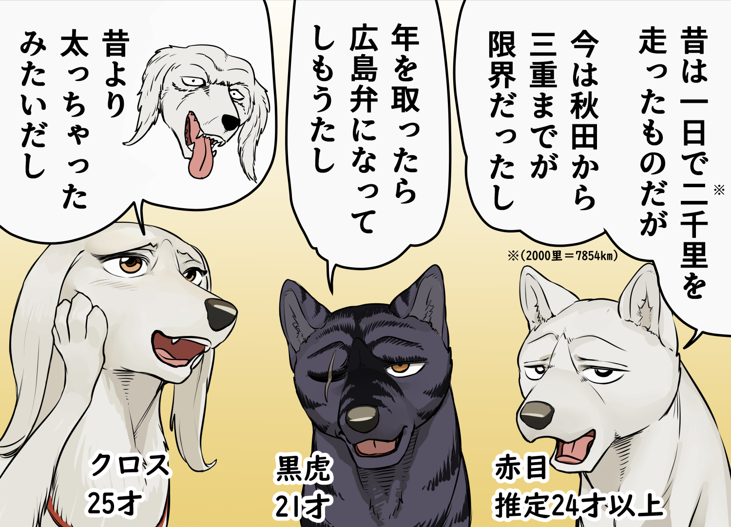 老犬 Amazon | 【TUNERS公式】TUNERSアニマル/アニマルバランスバンド