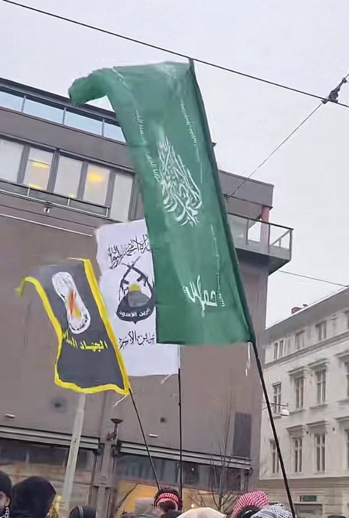 Göteborg having a normal one.

Flaggar bland annat för terrorstämplade Hamas och Palestinska islamiska Jihad

Även  Lions Den gör debut. Inte lagt märke till den på demonstrationer förut.