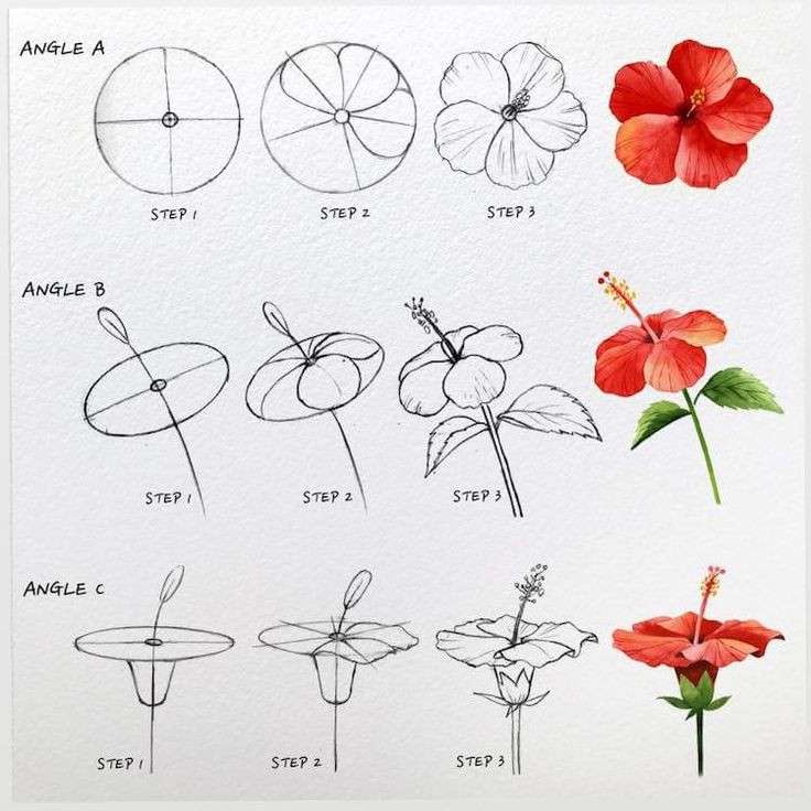 How to draw hibiscus🌺.