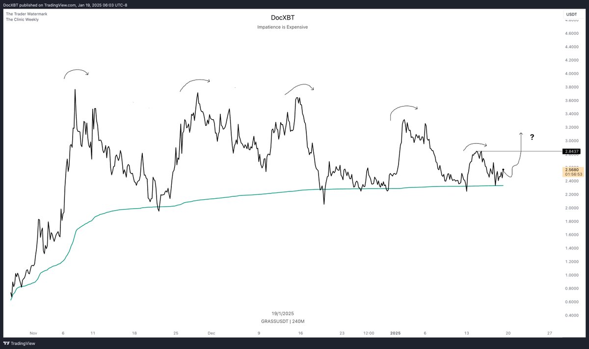 docXBT's tweet image. $GRASS