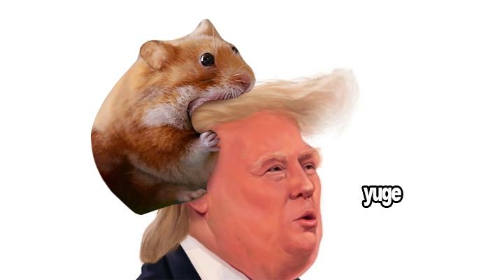 Greatness aligns, both looking forward.

$nomnom 🤝 $TRUMP