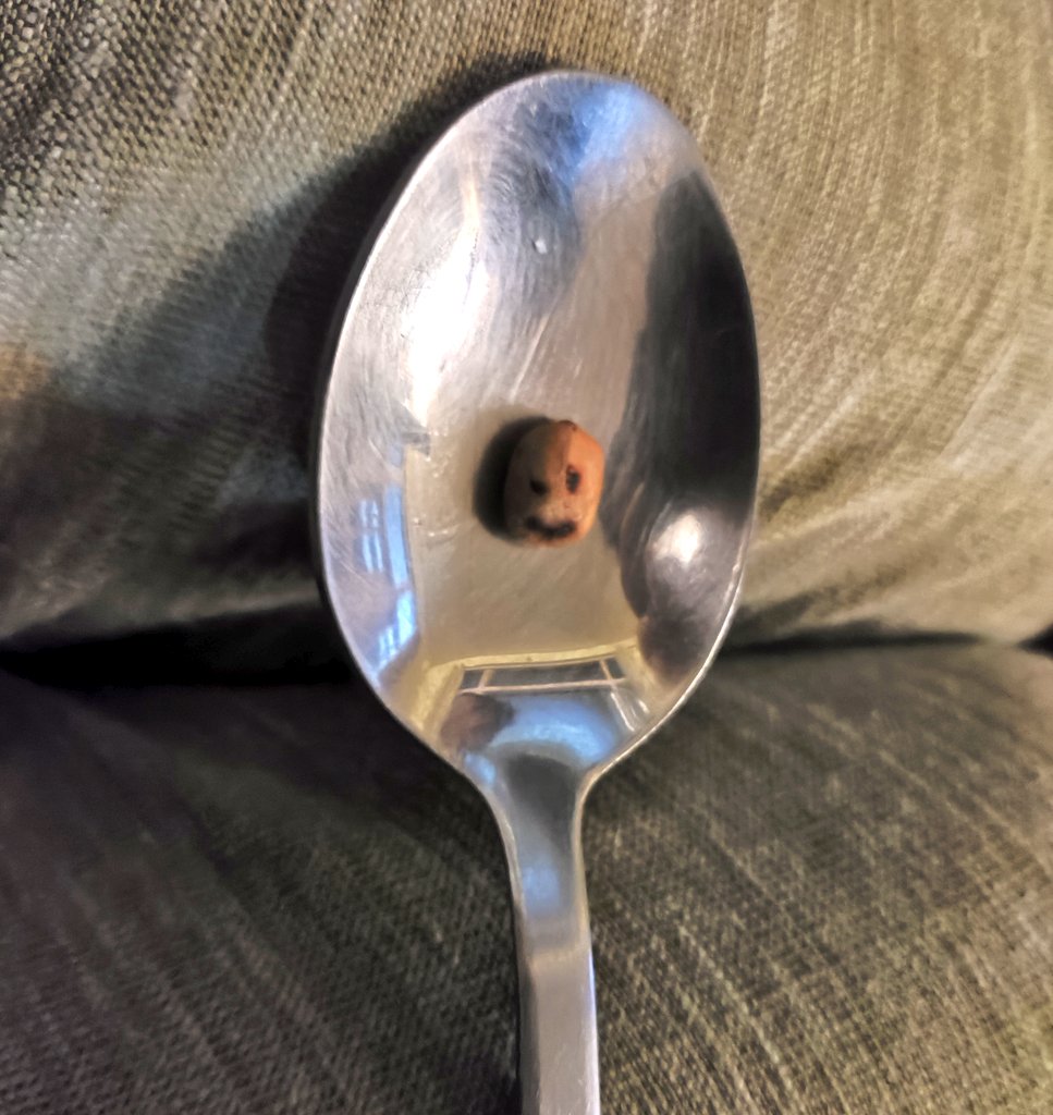Scooped up a peanut but then noticed it was smiling back at me. 😇