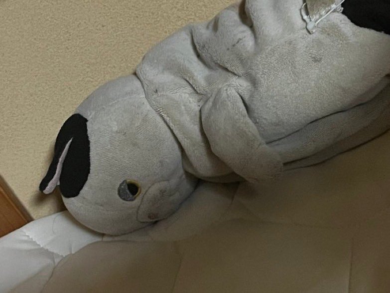 落ち込むぬいぐるみ (@depressed_nui) on Twitter photo 